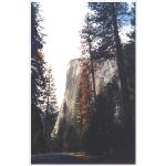yosemite national park 