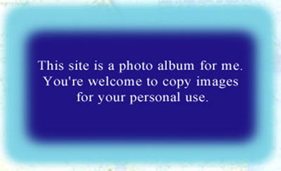 there are over 300 photos in this site