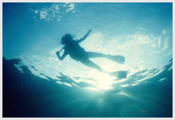 dive