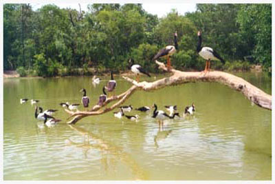 south africa