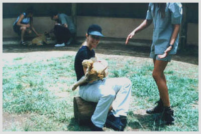 holding a lion cub in south africa