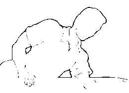 wpe1C.jpg (5208 bytes)