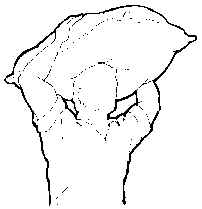 wpe25.jpg (6271 bytes)
