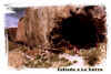 Entrada_a_la_cueva_retocada.jpg (62416 bytes)