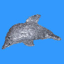 Dolphin pinata. Click to view a larger image.