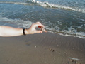 Hermit crab in residence