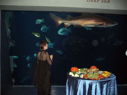 partying with a shark