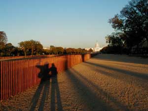 waving shadows