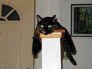 Xena relaxes