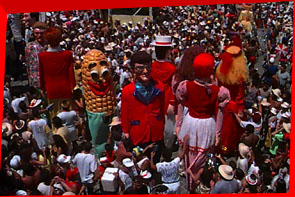 Anima��o Popular