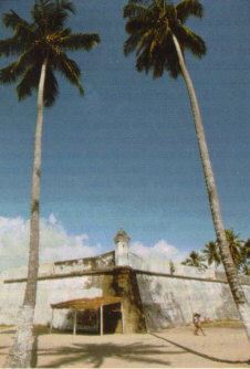 Forte de Pau Amarelo