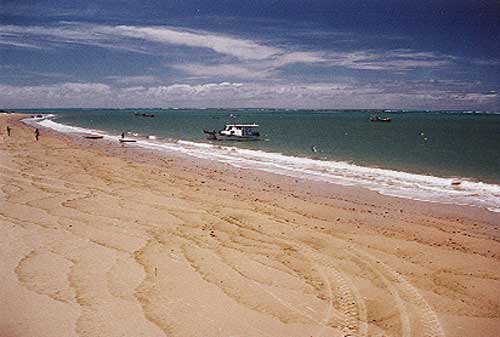 Passeios em Tamandar�