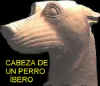 Cabeza de perro �bero.  Es identica a la de un PDAE, solo que aparece  rasurada por ceremonia de luto.