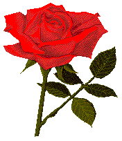 Red Stem