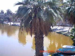 HUACACHINA III