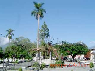 junramonplaza