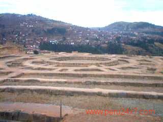 MUYOC MARKA