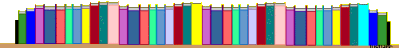 Michael's Collection of Montessori Books