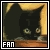 Loveable - Cats and Kittens
