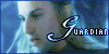 Guardian - Haldir of Lorien