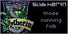 Ambitious - Slytherin fan