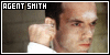 Virus - Agent Smith