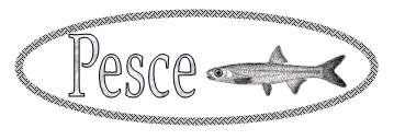 Pesce