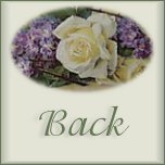 My Photo Album