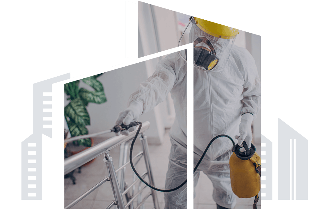 pest control services in ahmedabad