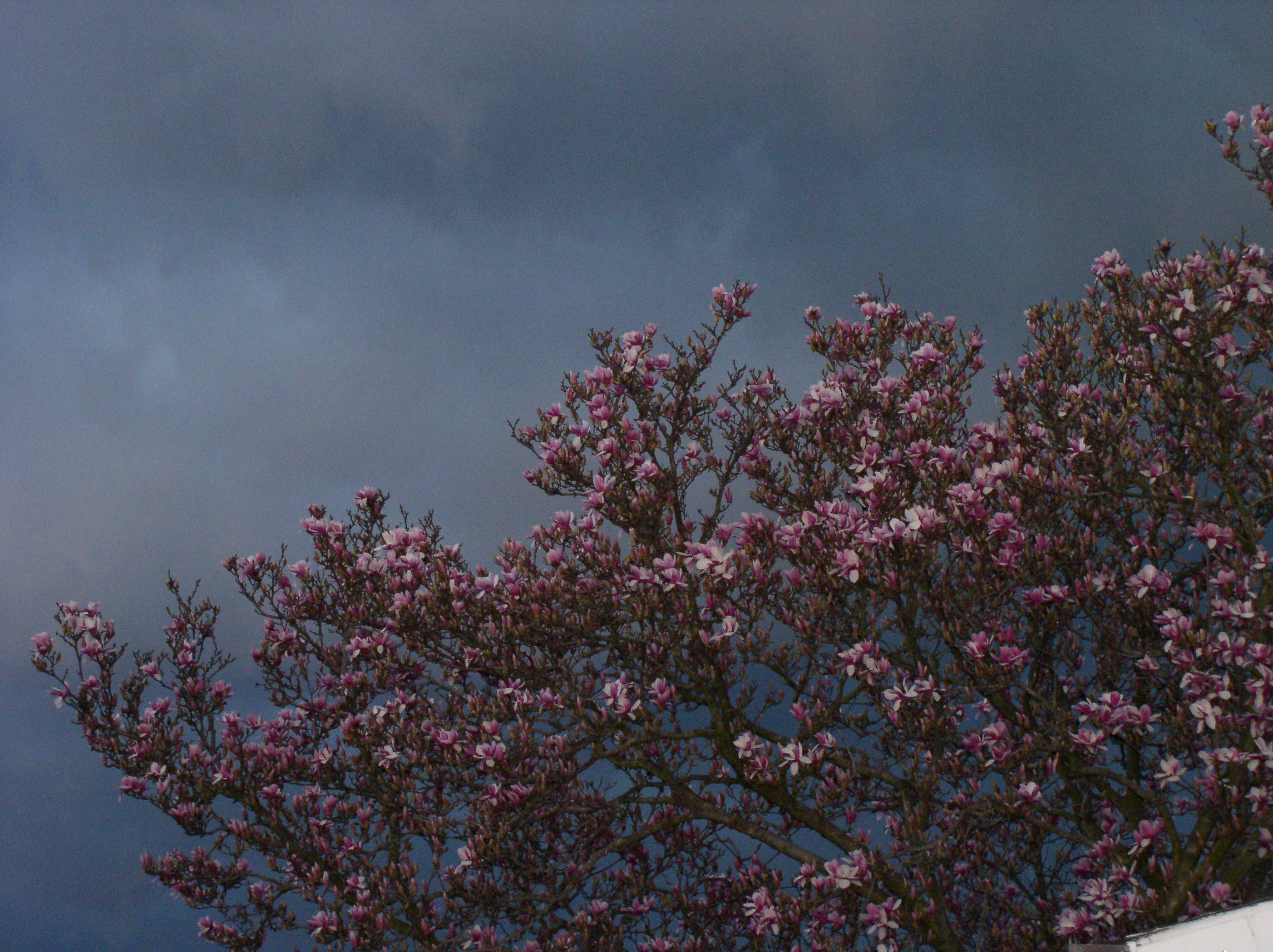 April 2003