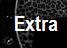Extra