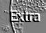 Extra