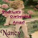 Nancy
