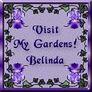 Belinda