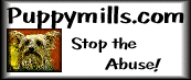 Great information on purchasing a puppy