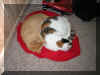 PeanutandBabyKitty.jpg (392820 bytes)