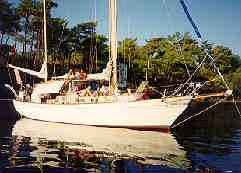 Wader II