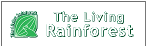 The Living Rainforest