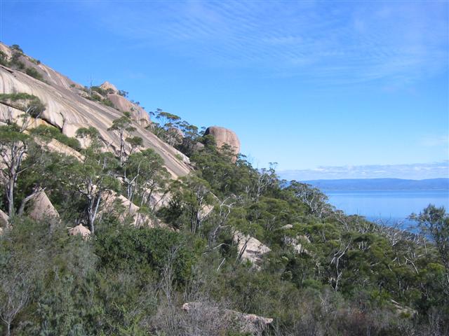 Great Oyster Bay