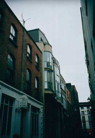 Le maison de vert
