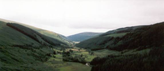 The hills are alive
