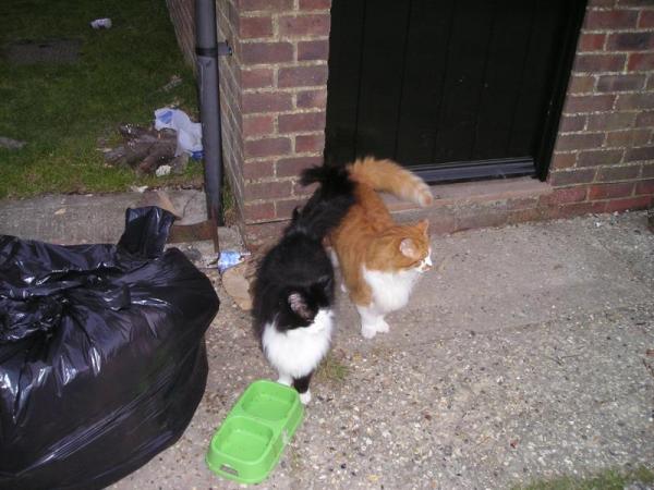 My little cat!!!!!! & Ruth's