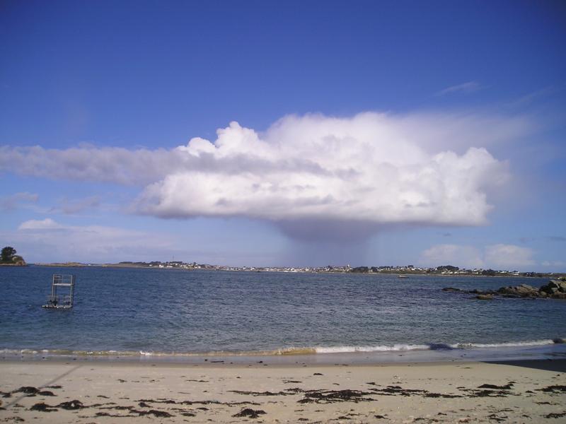 Le Rain Cloud