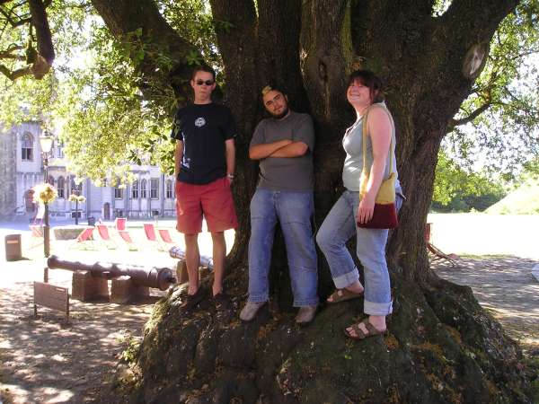 We got stuck to the tree of personality transplant