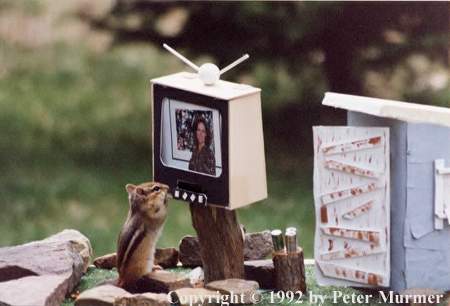 I love TV!