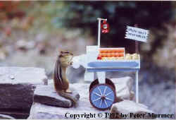 I sell fresh fruit!