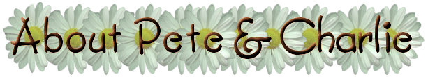 t002.gif (37689 bytes)