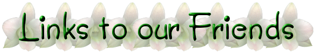 t006.gif (30398 bytes)