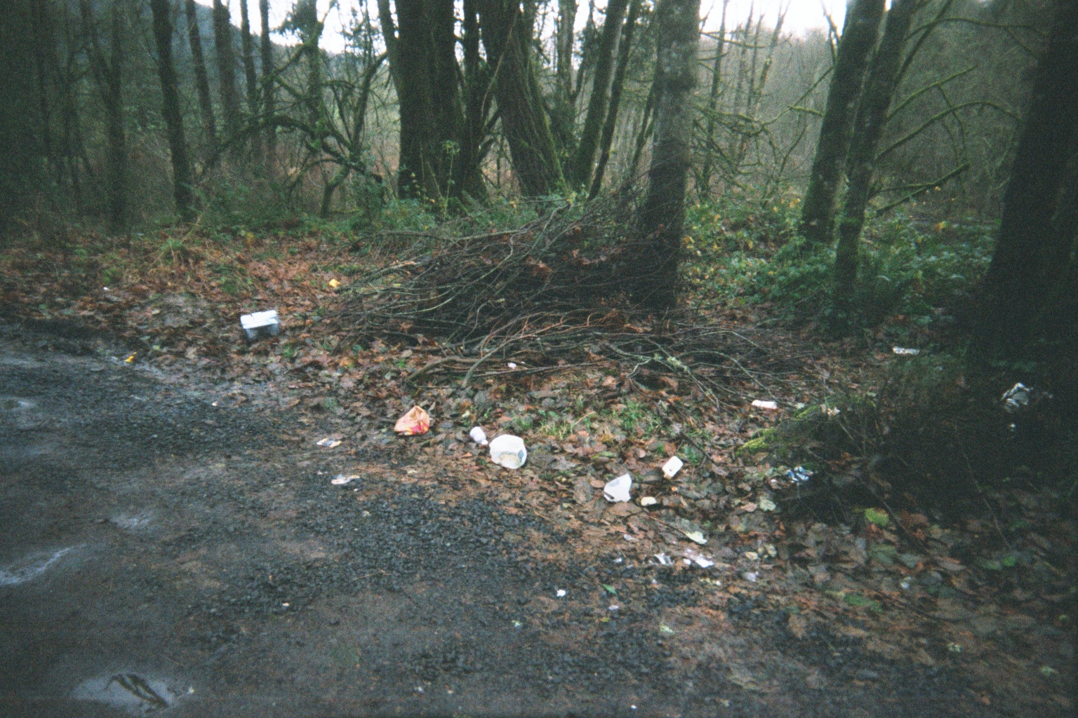 The Oregon Trail of Litter (TOTOL)