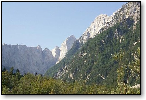 P0002313ab.jpg (60606 bytes)